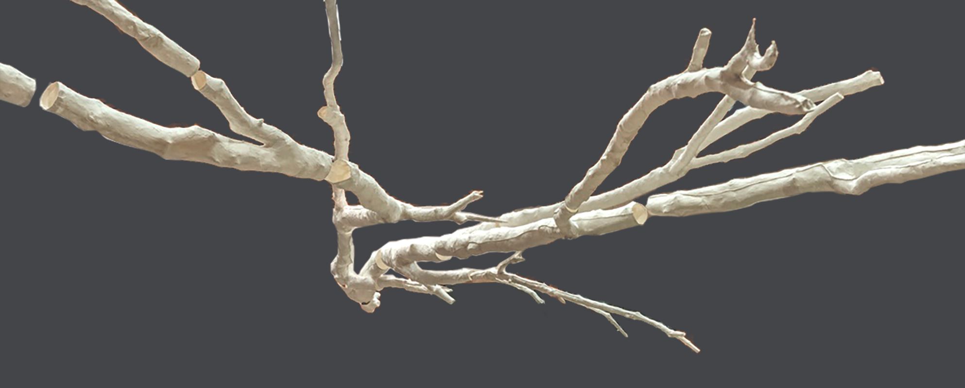 Fedyszyn Decline .Fall 1 copy