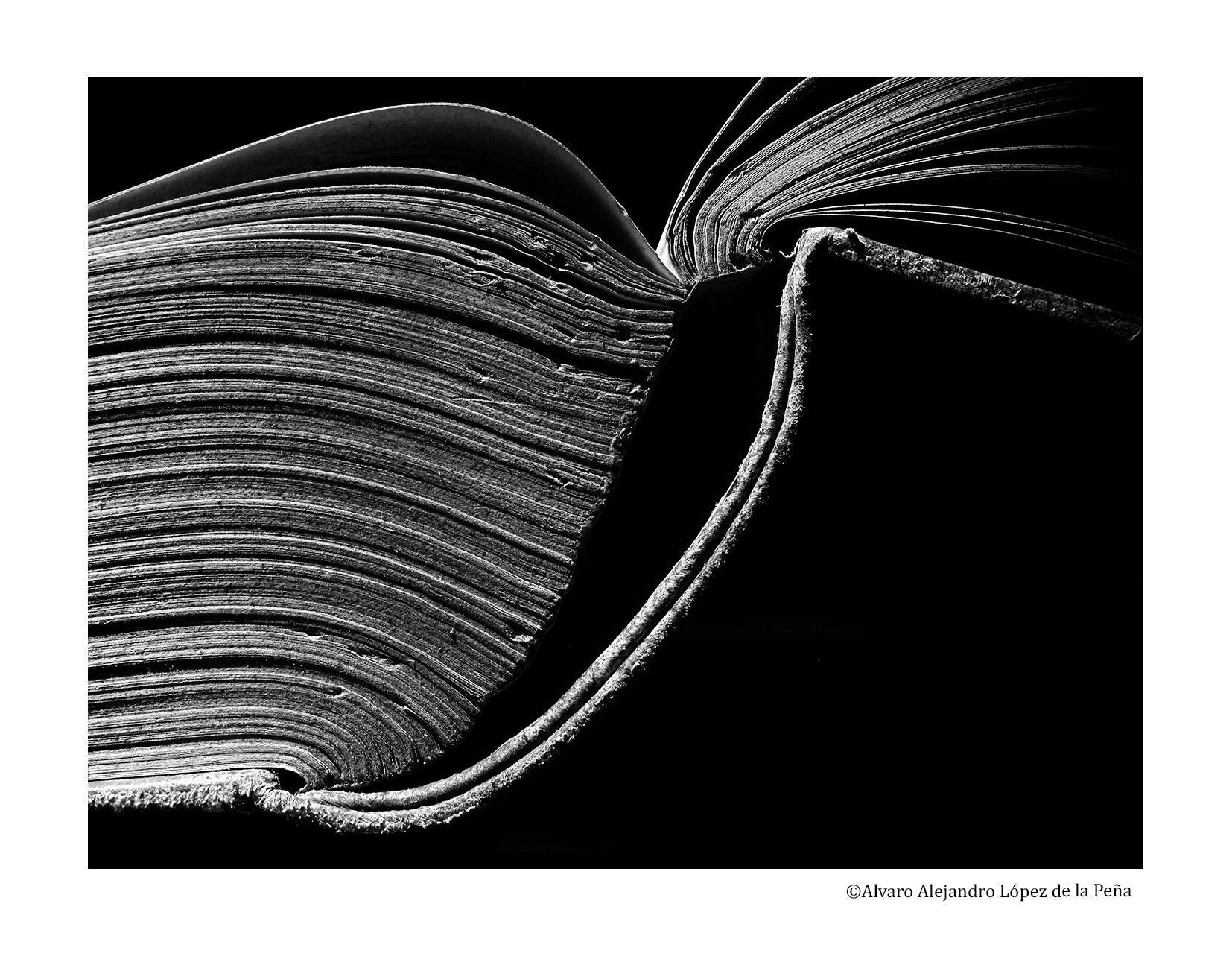 Lopez Submission 2458 2